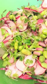 radish edamame ricotta  greens sandwich pechlucks food adventures