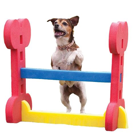 Pin on Dog Training Aids
