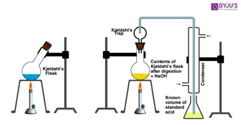 Kjeldahl Method for Nitrogen Determination - Detailed Description ...