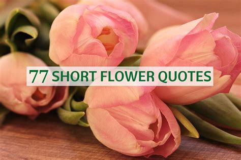Flowers Quotes Love