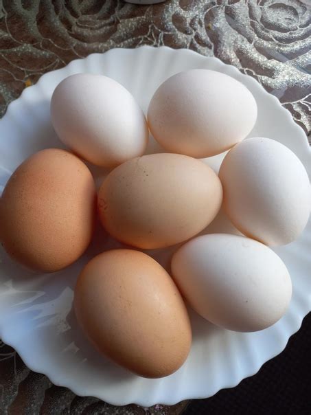 Продам яйцо куриное свежее. Цена 120р за десяток. | Продай-Купи ...