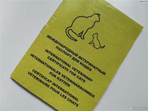 Паспорт кота - картинки и фото koshka.top