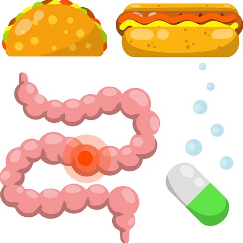 Intestine. Human digestive system. Sick red spot. Medical pill for