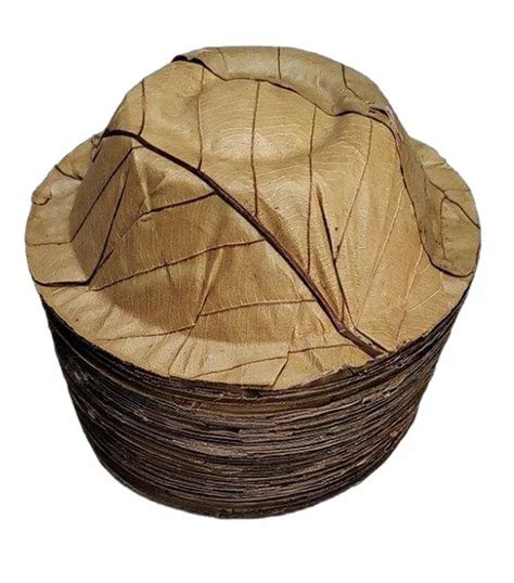 Sal Leaf Dona at Rs 1/piece | Paper Dona Bowl in Gurugram | ID: 27629176797