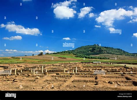 Ruins of the ancient city -state of Elis ("Ilida"), host city of the ...