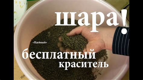 Прикормка на плотву весной своими руками - YouTube