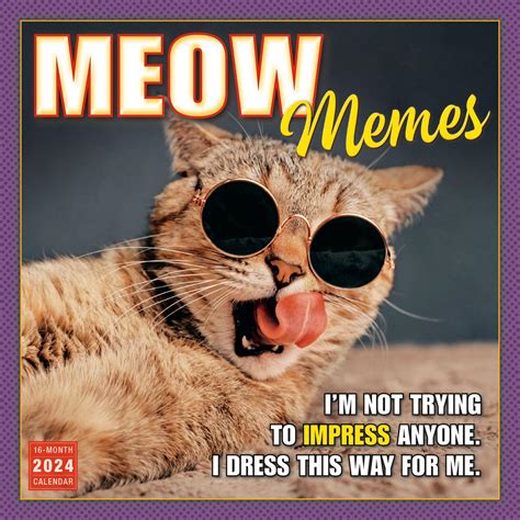 funny animal memes 2024 3