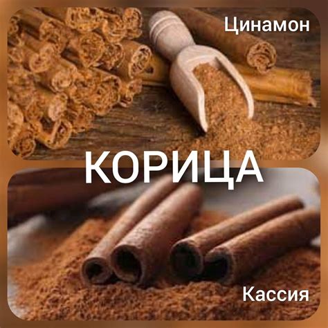 Кассия И Корица В Чем Разница Польза И Вред - 61 Фотo