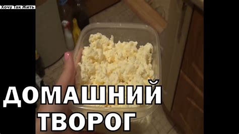Рецепт домашнего творога / как приготовить творог в домашних условиях ...