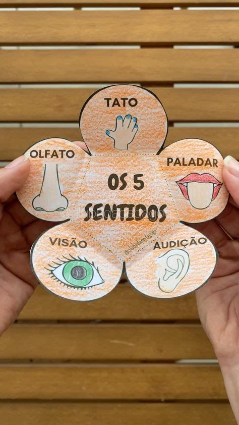 Trabalho Sobre Os 5 Sentidos - Pin em Os 5 sentidos