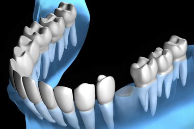 Mouth and teeth | healthdirect