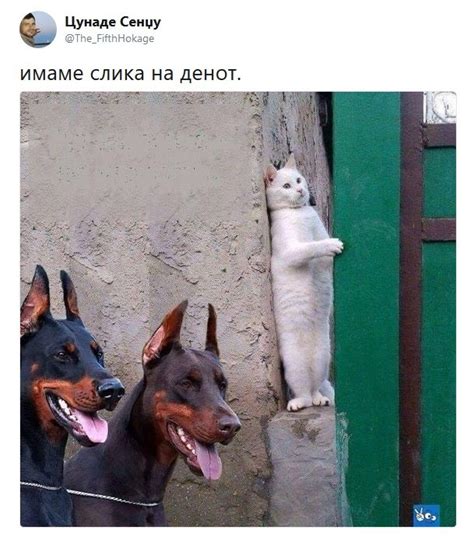 Имаме слика на денот – Навалица