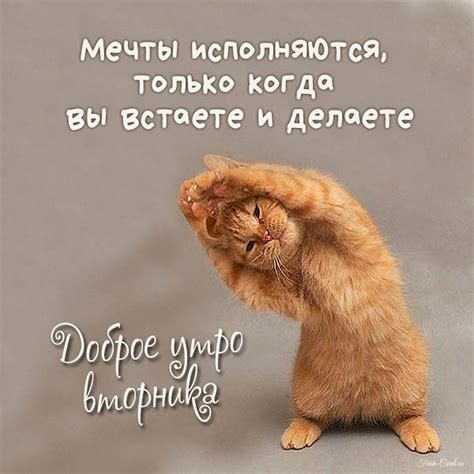 Доброе утро ВТОРНИКА прикольные картинки и красивые открытки