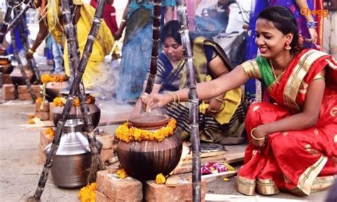 pongal celebrated learn  fun facts  pongal