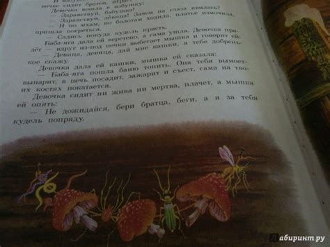 Книга: Бобовое зернышко - . Купить книгу, читать рецензии | Лабиринт