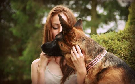 10 Facts About German Shepherd Dog You Need to Know - InspirationSeek.com