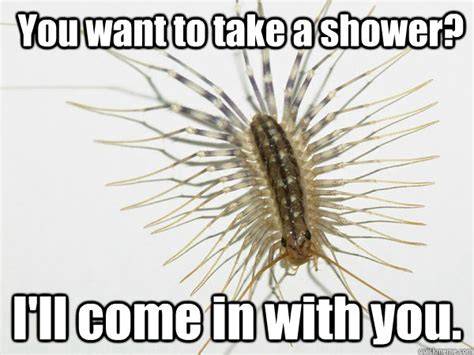 House Centipede memes | quickmeme