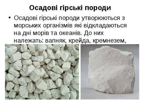 Осадові гірські породи — типи, характеристика, структура