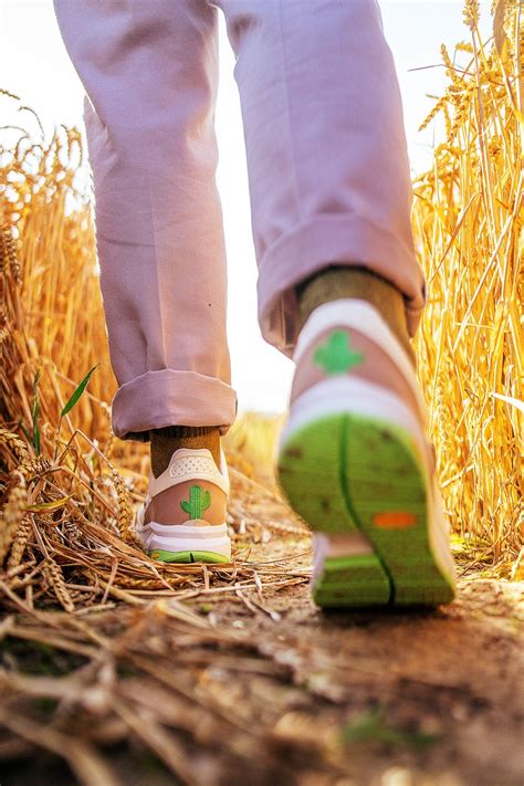 Shoes Footwear Sneakers - Free photo on Pixabay - Pixabay