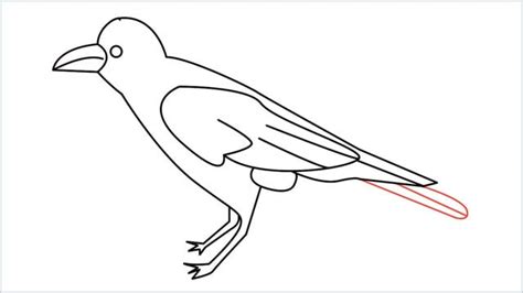 How To Draw A Crow Step by Step for Beginners - [13 Easy Phase]