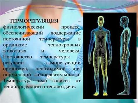 Физиология терморегуляции - YouTube