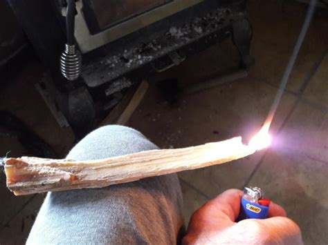 Ocote aka Fatwood creating in the forest (wood burning stoves forum at ...