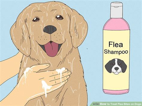 how to treat flea bites on dogs naturally
