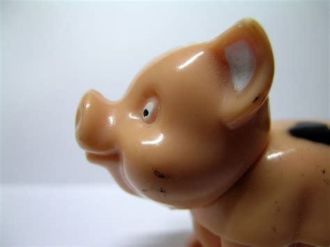 Foto gratis piggy 4 para descargar | FreeImages