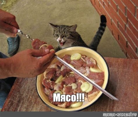 Мем: "Мясо!!!" - Все шаблоны - Meme-arsenal.com