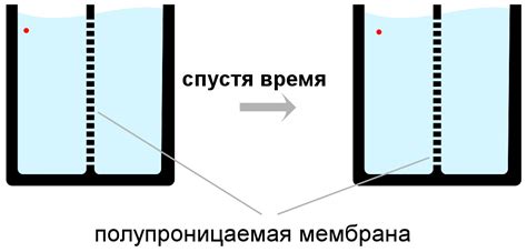 Диффузия | это... Что такое Диффузия?
