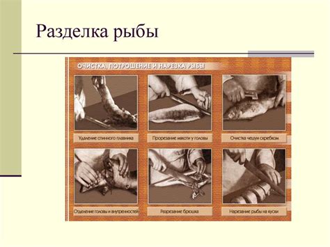Приготовление блюд из рыбы. 6 класс - презентация онлайн