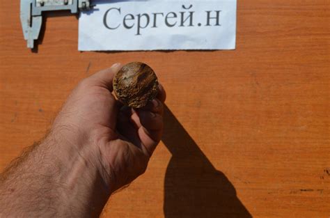 Эбонитовый круг Ф32мм, длина 240мм - Пластики - Металічний форум