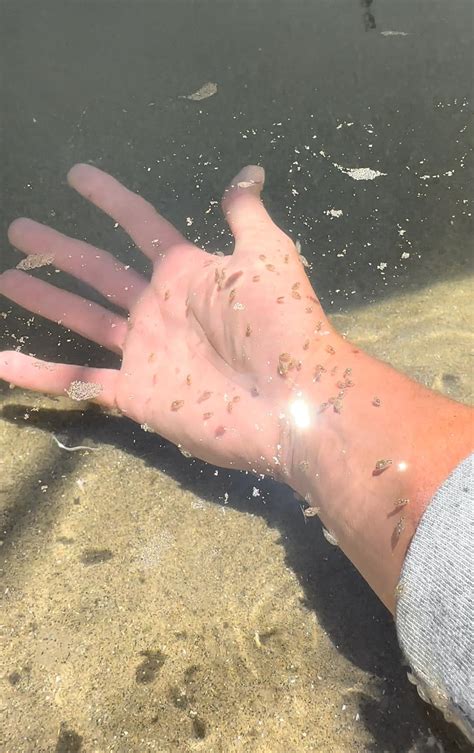 Out In Oregon | Be Careful When You Go to the Beach This Summer ⚠️