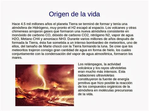 Café y Biología: Lección 12 origen de la vida