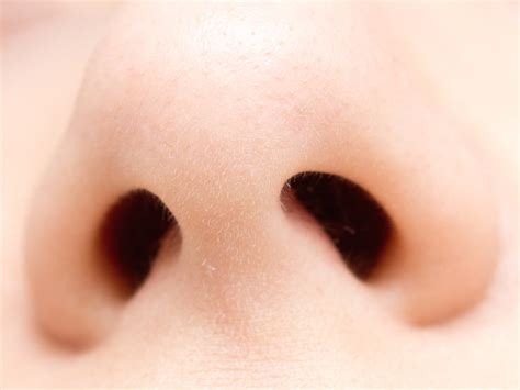 What Your Nose Knows About Human Evolution | Live Science