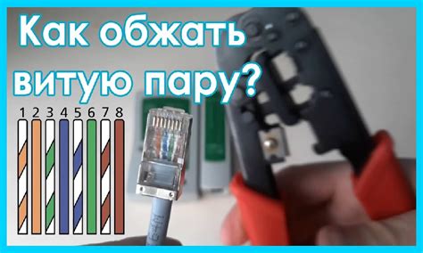 Как обжать интернет кабель: правильная схема обжима кабеля