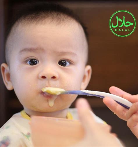 halal baby food isa