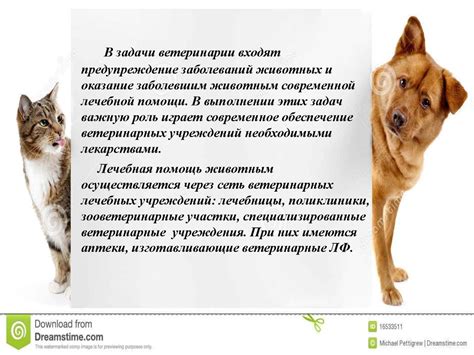 Ветеринарные лекарственные формы. Особенности технологии - презентация ...