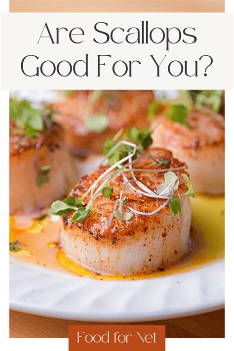 Are Scallops Good For You? | Food For Net