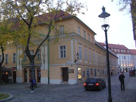 Mladost