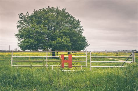 human/nature — Jenny Wilde Photographic Art