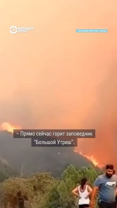 Мощные лесные пожары в Краснодарском крае. В Новороссийске ввели режим ...