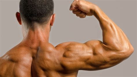 Having sturdy rear delts improve shoulder strength and mobility and ...