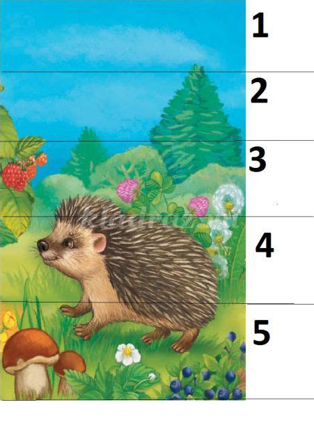 Математические игры для детей дошкольников 3-5 лет в детском саду