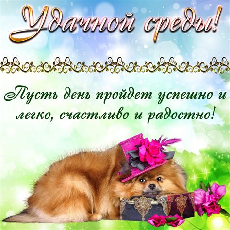 Пожелания хорошей недели (34 фото) 🔥 BipBap.ru