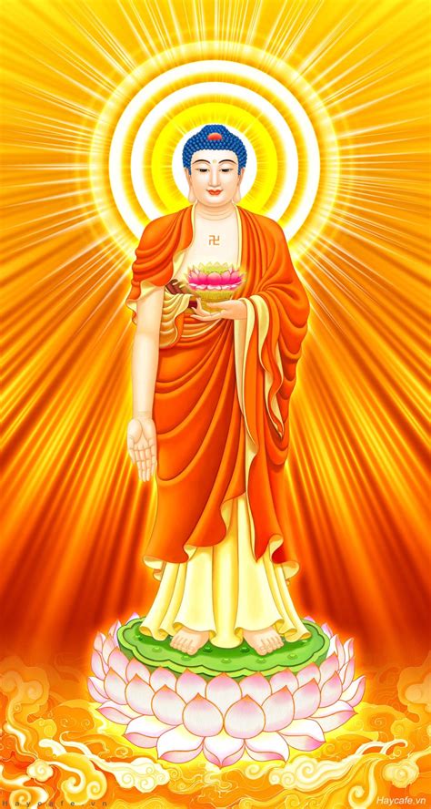 299+ Hình Ảnh Phật A Di Đà Đẹp Từ Bi, Đầy Lòng Nhân Ái