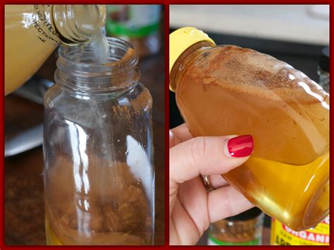 What Does Apple Cider Vinegar Do To Fleas 1