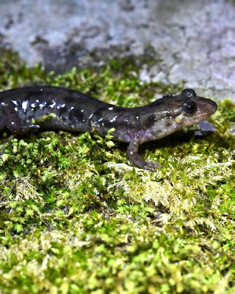 Maryland Adventure Babe added a... - Maryland Adventure Babe