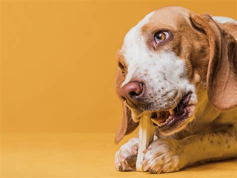 Alimentos Que No Pueden Comer Los Santeros 11