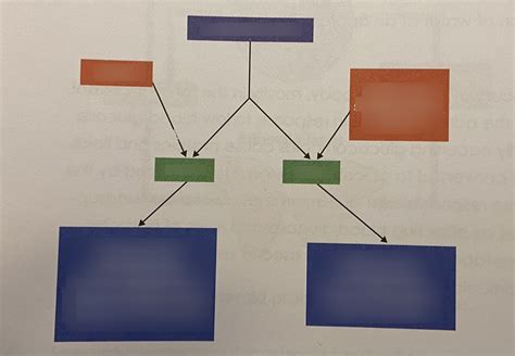 formation       diagram quizlet